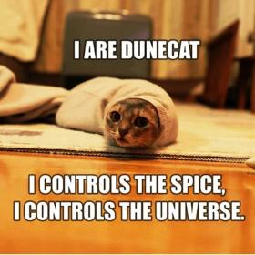 dunecat's picture