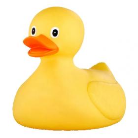 Rubber duck's picture