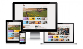 The Donkey Sanctuary Website 