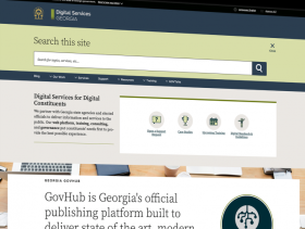 Digital Services Georgia website