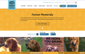 Furever Memorials Screenshot of Golden Retriever Lifetime Study Page