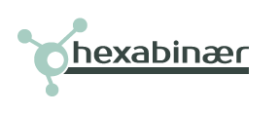 hexabinaer logo