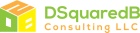 DSquaredB Consulting, LLC