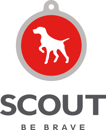 Scout: Be Brave