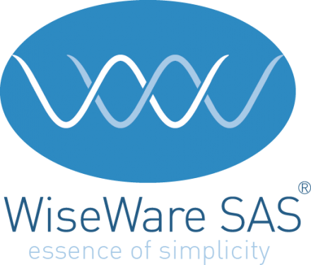 Wiseware SAS. Essence of simplicity.