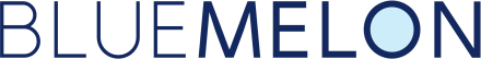 BlueMelon Web & AI Agency