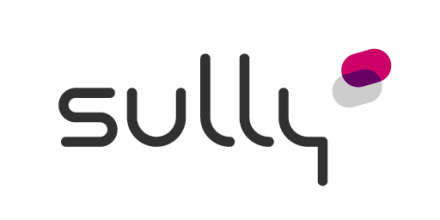 Sully-group logo