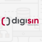 Digisin web agency