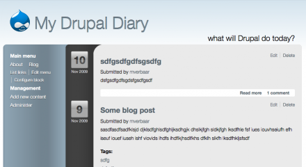 Screenshot of the Diary theme in progress
