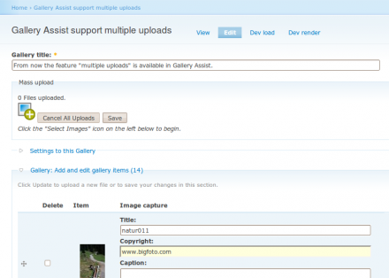 From now the feature "multiple uploads" is available in Gallery Assist.