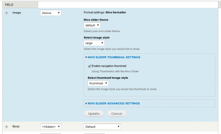 Nivo formatter settings