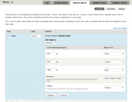 Client-side adaptive image formatter settings