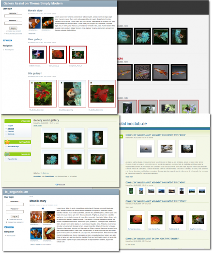 Gallery Assist using Gallery Assist ImageCache