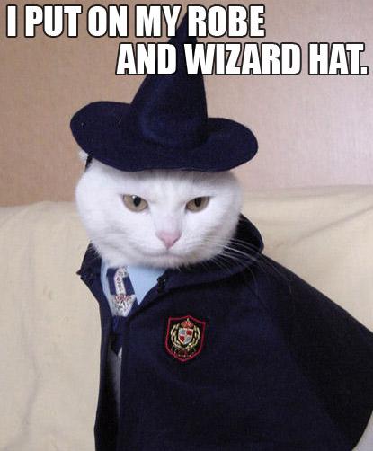 Wizard Cat Will Find It!