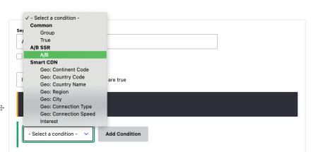 Select A/B condition in Manage Segments