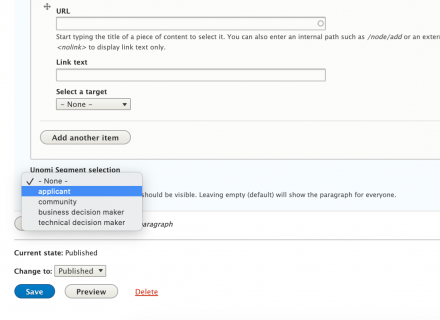 Segment Selection in a paragraph