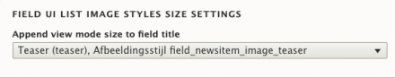 Select a view mode to append its applied image style size to the field title.