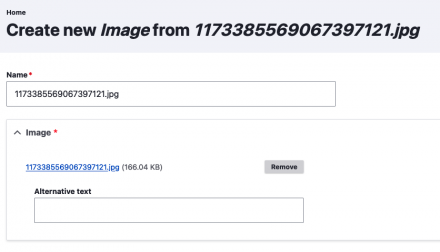 Screenshot of the form for adding a new media entity from an existing image