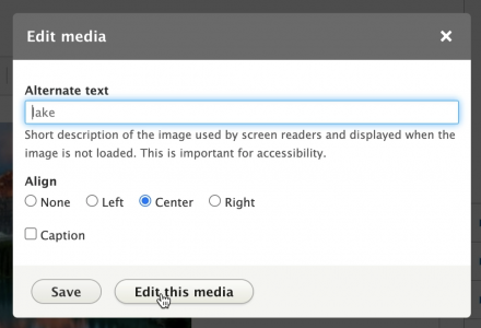 Edit media button in editor edit embed media modal