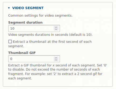 Video segmentation settings