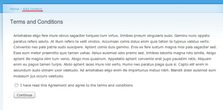 Publication Agreement:  A Terms and Conditions example page.