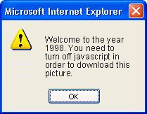 A Windows XP style javascript alert showing the Message.