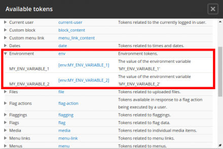 Defined environment variables available from token browser