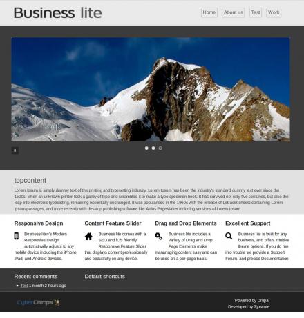 Business Lite Home page