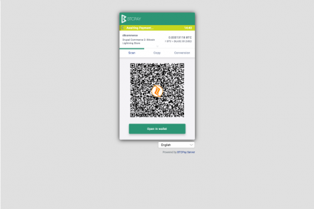 BTCPay hosted payment screen