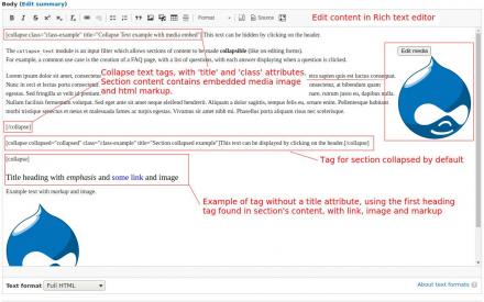 Rich text editor with examples of collapse text tags.