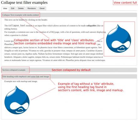 Front-end full node view with examples of collapsible sections.