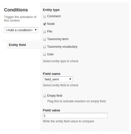 Context entity field interface preview.