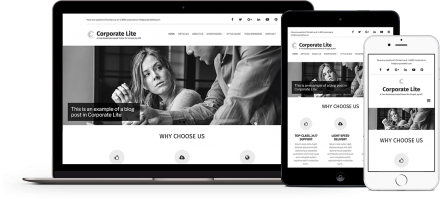 Corporate Lite, free Drupal 8 theme by More than Themes