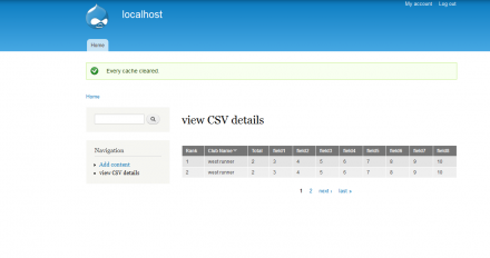 Front end where user can view csv result 