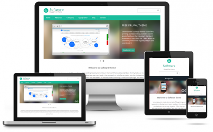 Software responsive theme