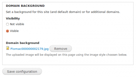 Domain dynamic background settings form fieldset