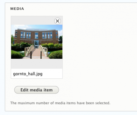 The edit button shown on a media library widget