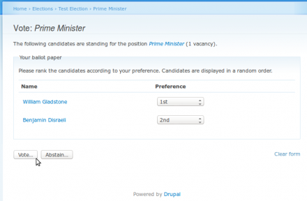 Screenshot: Voting form