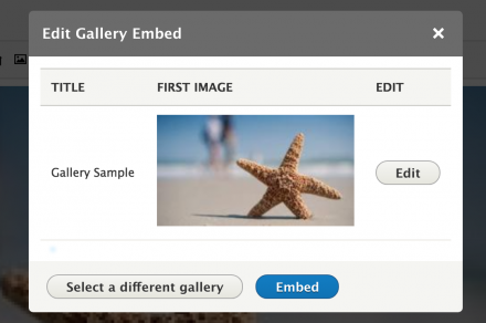 entity embed extras