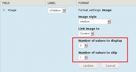 Screenshot of additional field formatter settings. Number of values to display, number of values to skip.