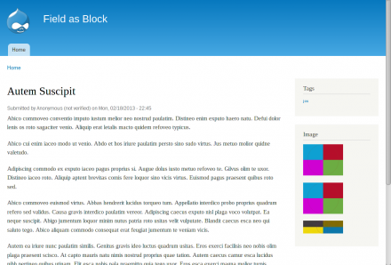 A node page with fields displayed as blocks