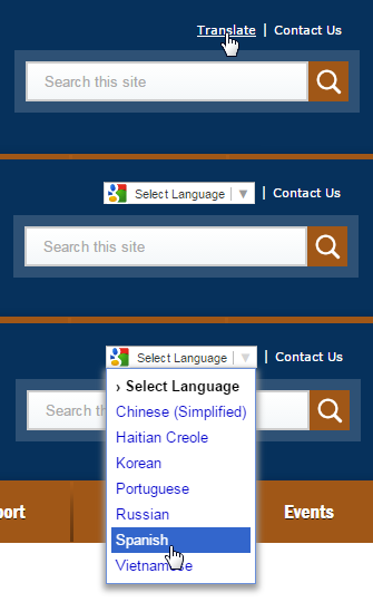 Google Translator Drupal Org