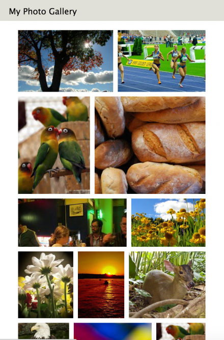 drupal responsive grids drupal responsive grids