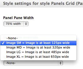 Select Image Sizes for a Panel Pane