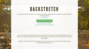 Screenshot of jQuery Backstretch homepage