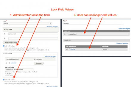 Screen shot of module in use