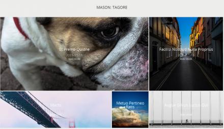 Mason Grid: Tagore