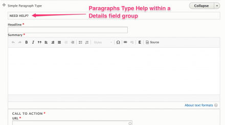 Paragraphs Type Help collapsed in a field group.