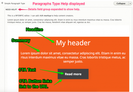 Paragraphs Type Help displayed on a Paragraphs edit form.