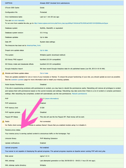 Status report screen shot using the Reverse Proxy Check Drupal module